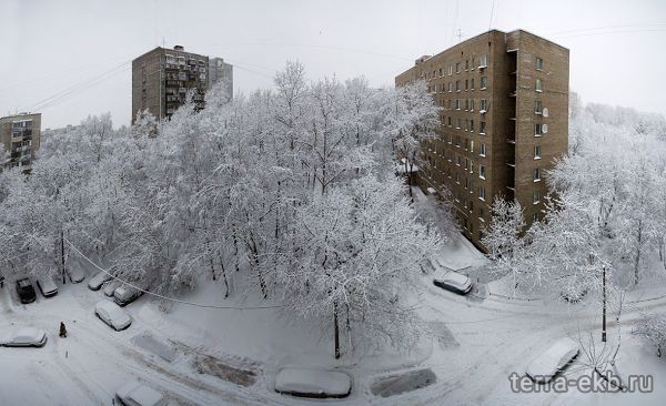 Заснеженный двор